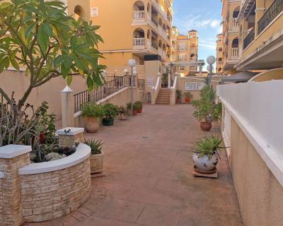 Location long terme - Appartement - Alicante - Algorfa