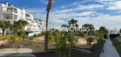 Apartment - Holiday rental -
            Torrevieja - AL132