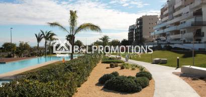 Appartement - Location vacances -
            Pilar de la Horadada - AL106