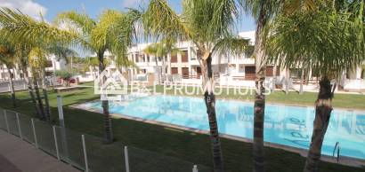 Appartement - Location vacances -
            Torrevieja - AL119