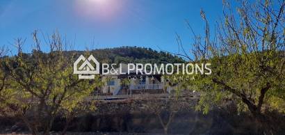 Finca - Gebrauchtimmobilien -
            Albanilla - v469