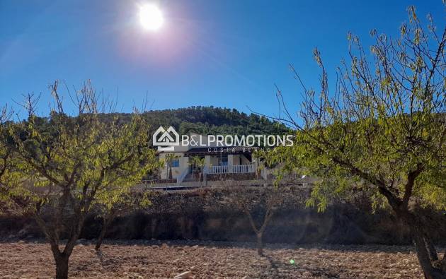 Finca - Herverkoop - Albanilla -
                Cañada de la Leña