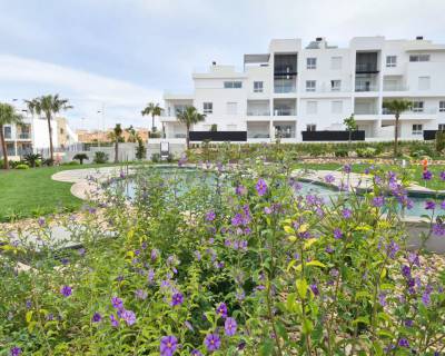 Holiday rental - Apartment - Torrevieja