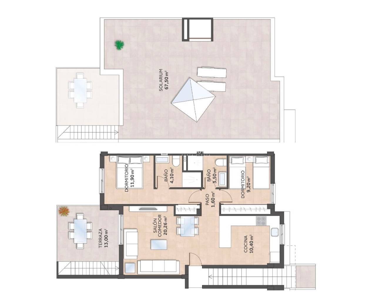 Neubauimmobilien - Bungalow -
San Miguel de Salinas