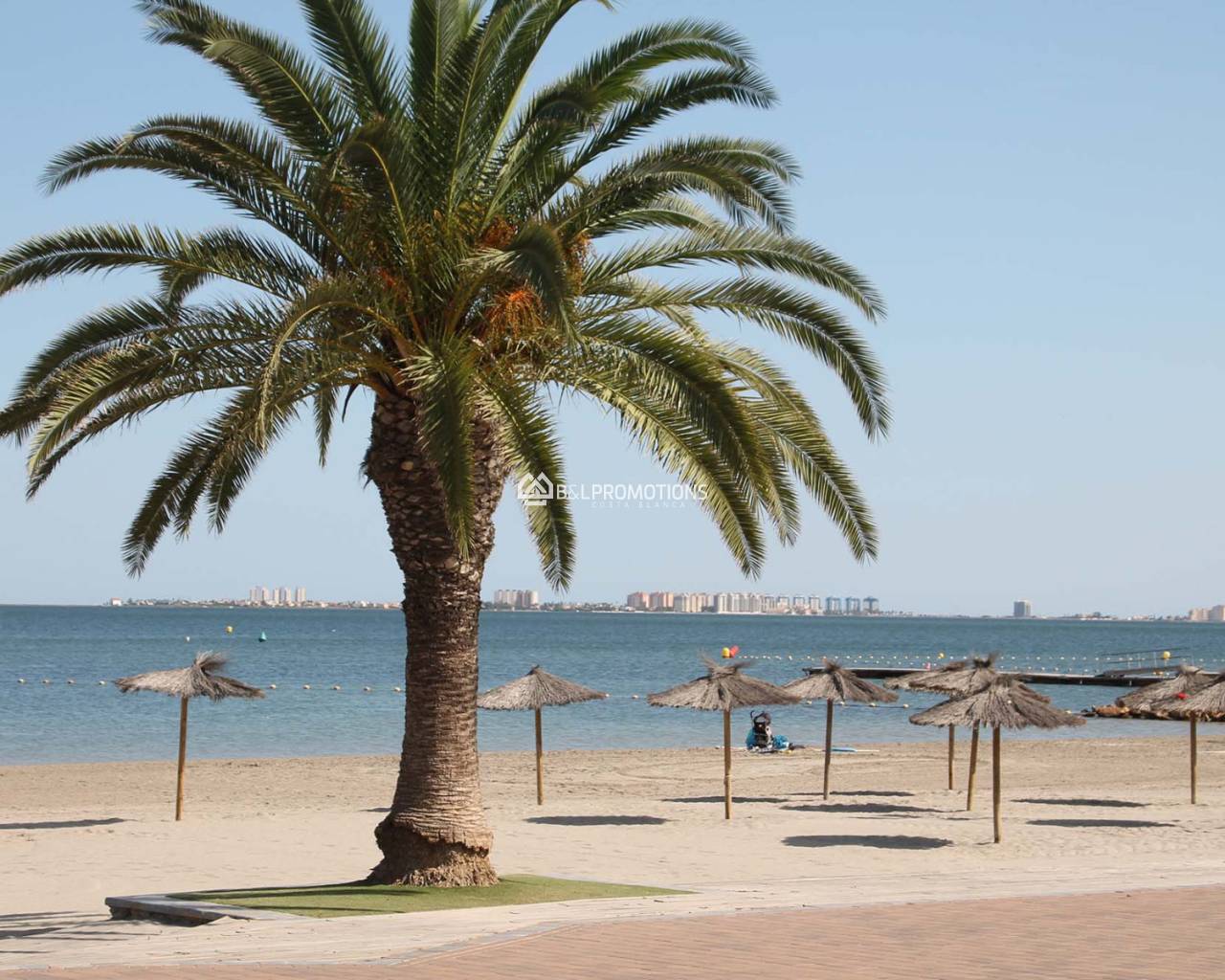 New build - Apartment -
Torre Pacheco - Santa Rosalia