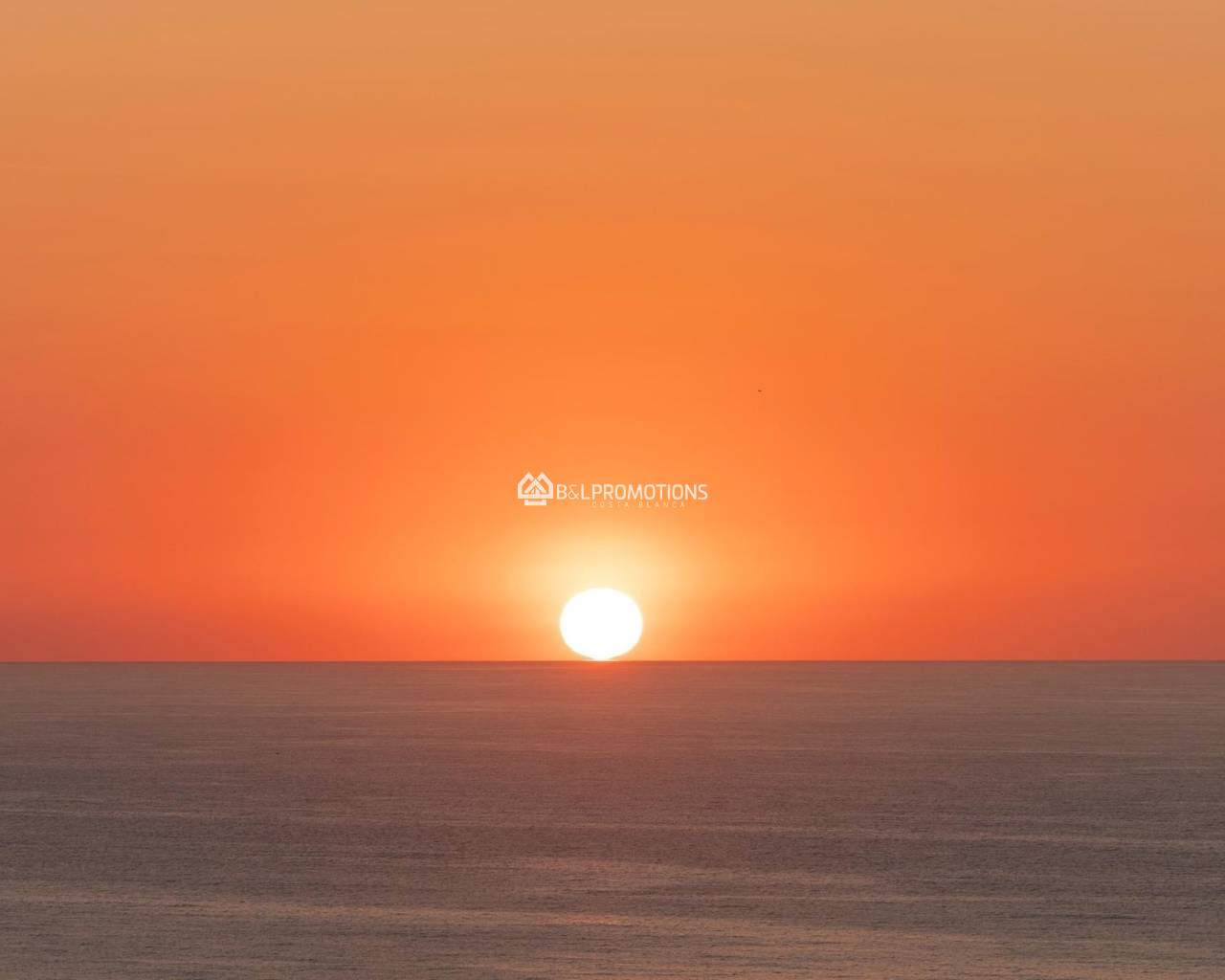 New build - Villa -
Los Montesinos