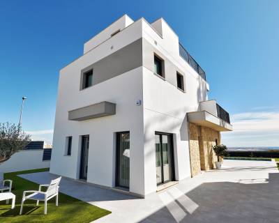 New build - Villa - San Miguel de Salinas