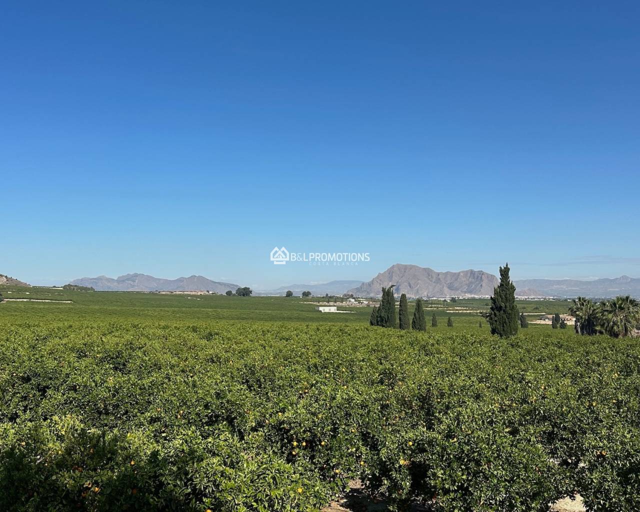 Nieuwbouw - Vrijstaande villa -
Alicante - La Finca Golf