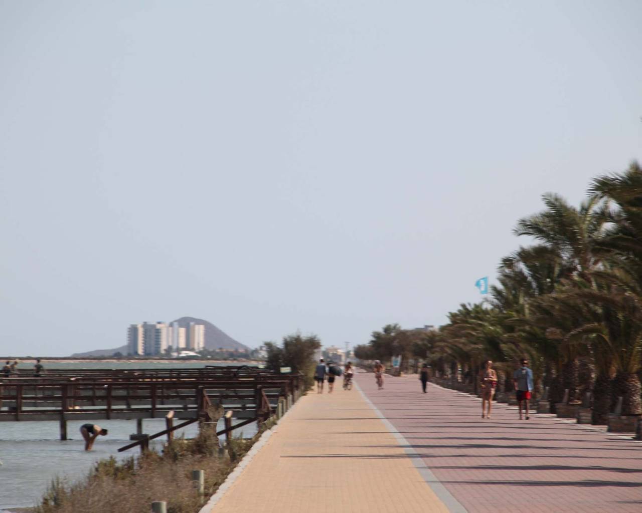 Nouvelle construction - Penthouse -
San Pedro del Pinatar