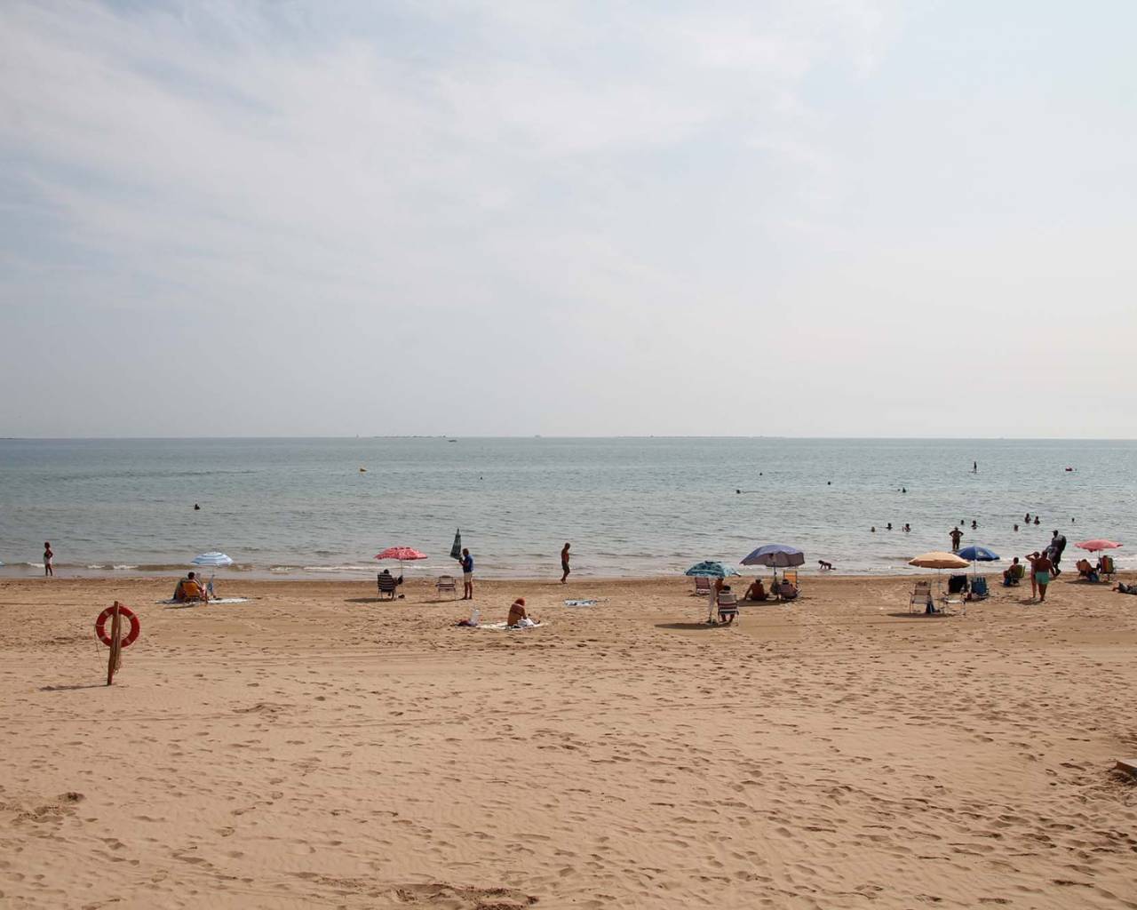 Nouvelle construction - Villa -
Daya Vieja