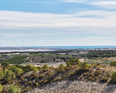 Nouvelle construction - Villa - San Miguel de Salinas