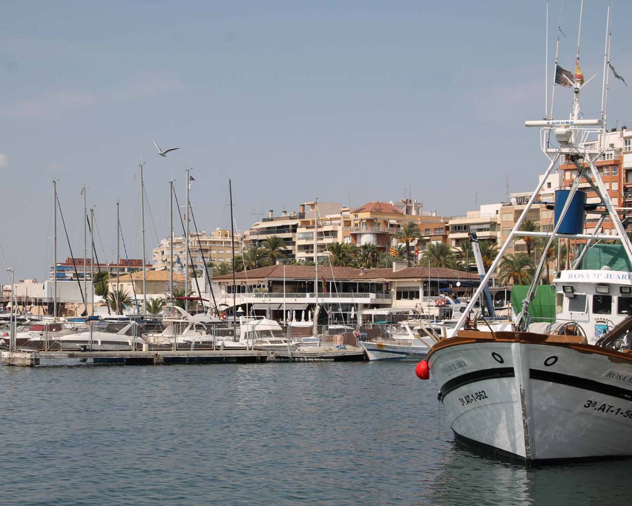 Új építésű ingatlan - Apartman -
San Miguel de Salinas