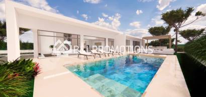 Villa - Nouvelle construction -
            Pilar de la Horadada - V583