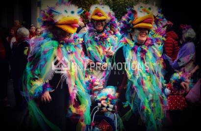 Fiestas de Carnaval, otra forma de descubrir la esencia mediterránea al comprar una casa en Torrevieja