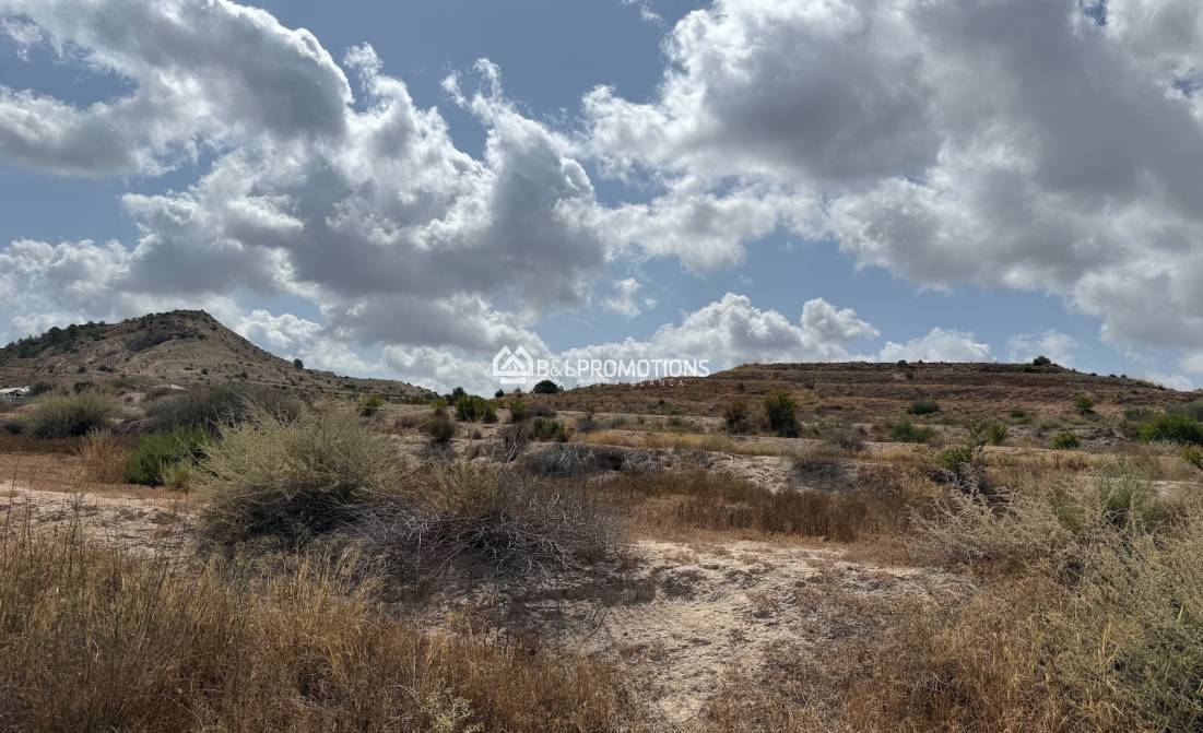 Nueva construcción - Chalet independiente -
Alicante - Pinoso