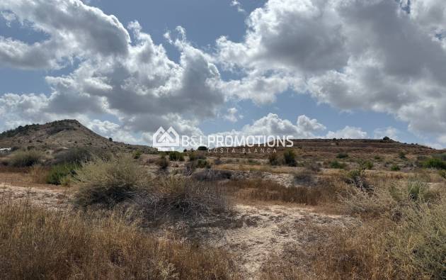 Nueva construcción - Chalet independiente -
Alicante - Pinoso