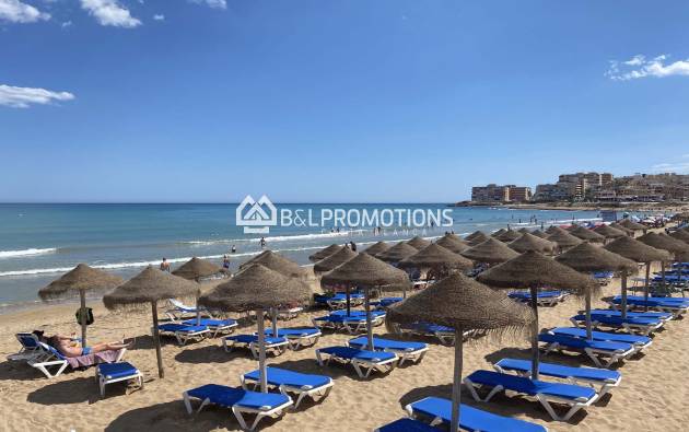 Ferienvermietung - Appartement -
Torrevieja