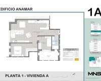 Nueva construcción - Apartamento -
Torrevieja